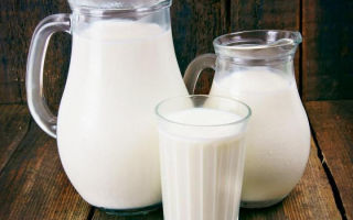 Слоган молока: самые интересные варианты
